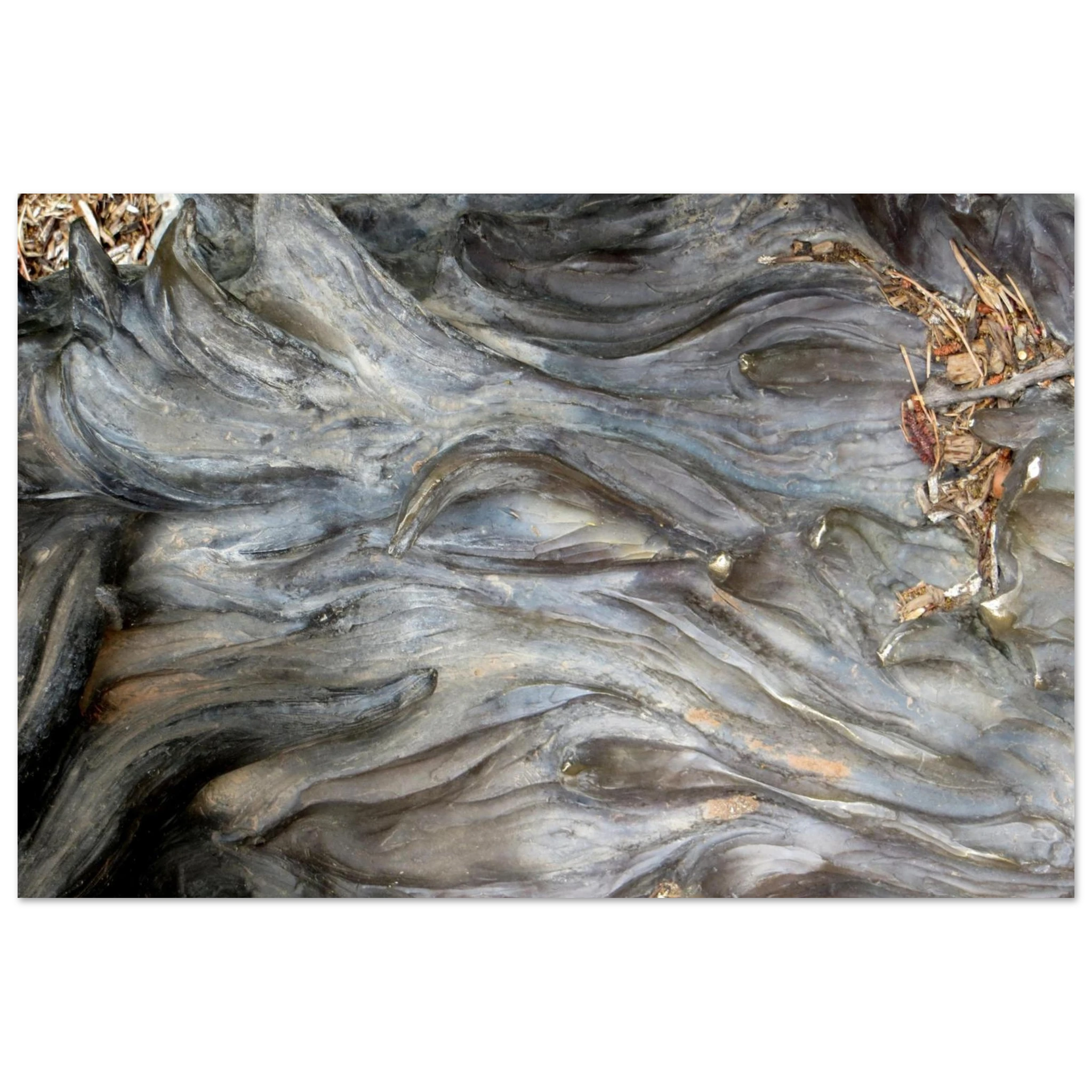 12c9f395-53d1-41ed-894e-cbb52a341a8c