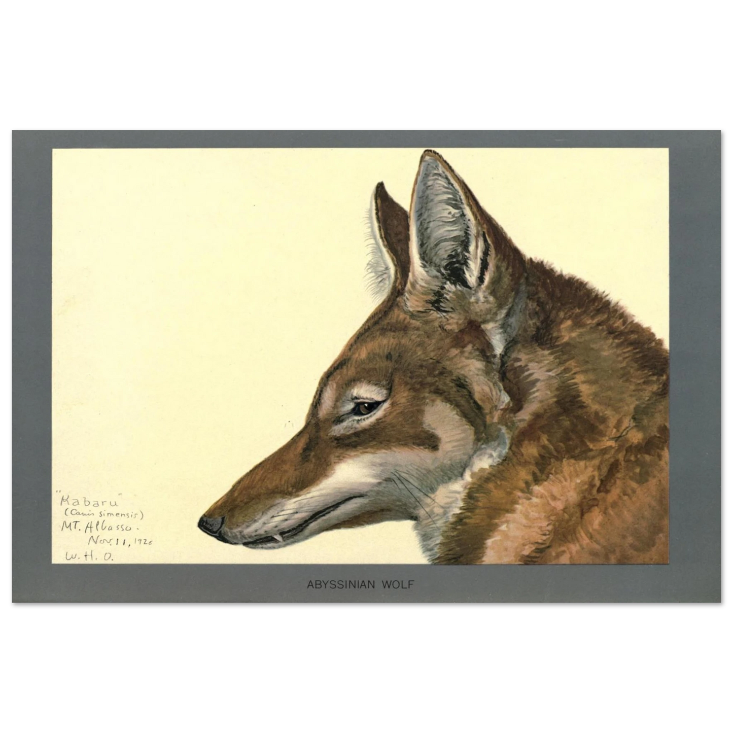 42d2c169-8a33-486c-9d88-9894428aaebb