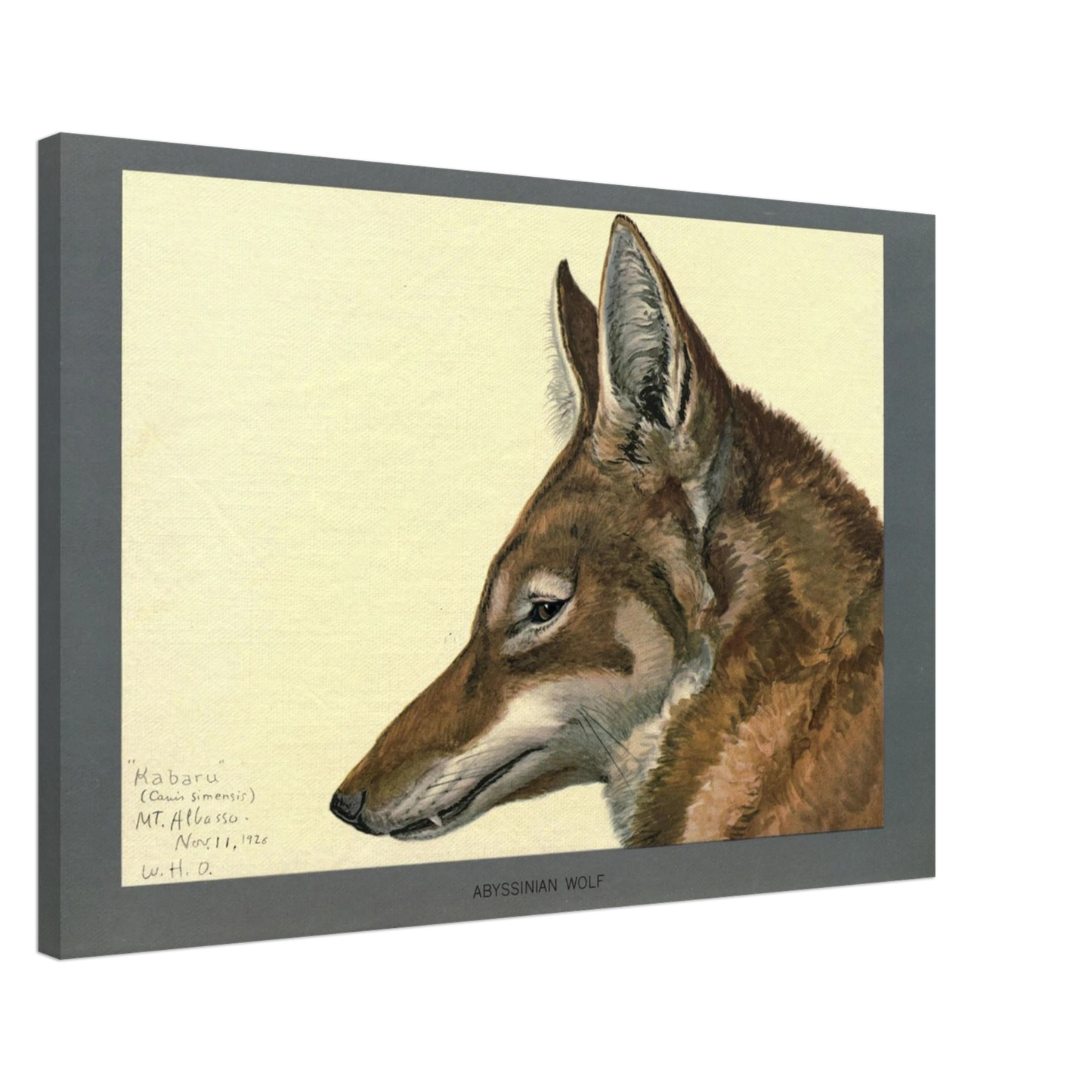 4796900f-06fb-41f7-9d86-5cfcdc52083d