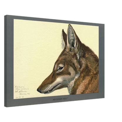 4796900f-06fb-41f7-9d86-5cfcdc52083d