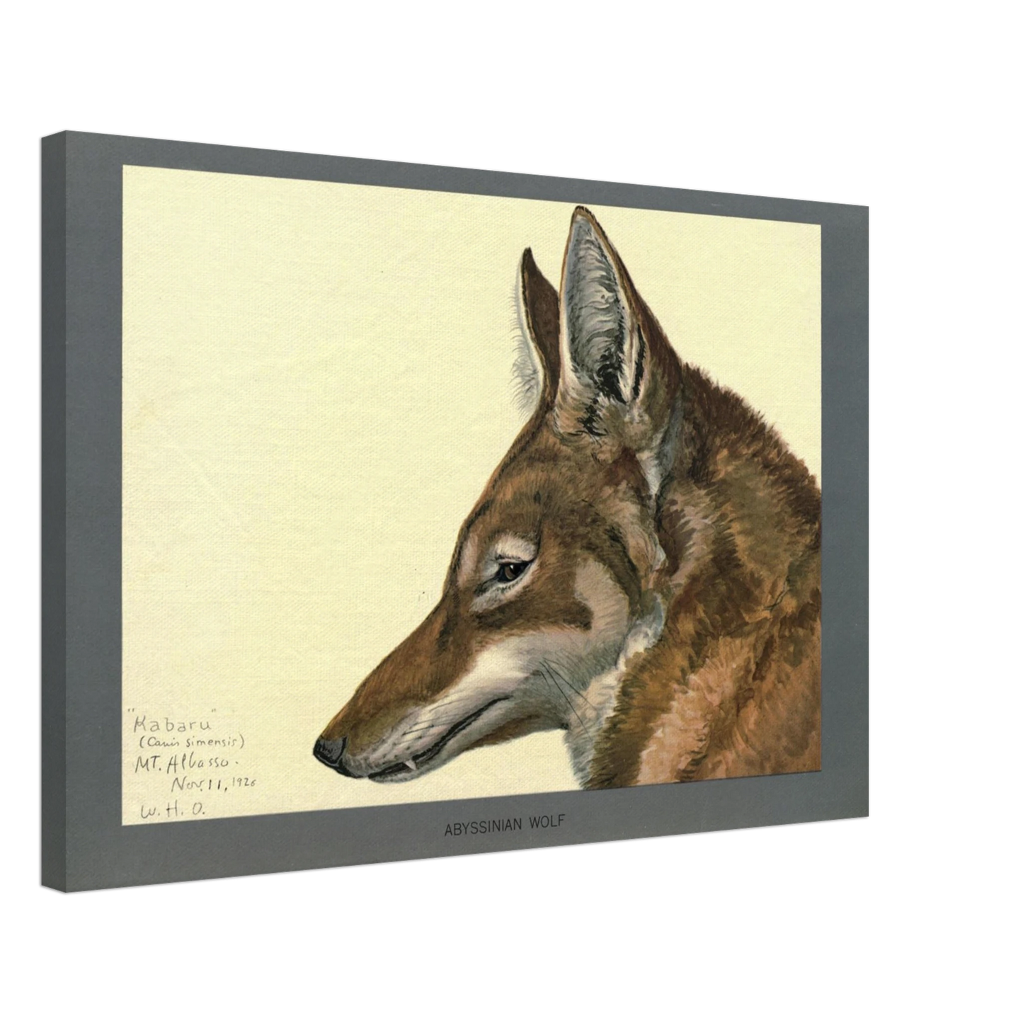 6300ed92-115b-4a0d-aa46-81153cc7e00d