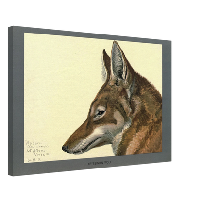 6300ed92-115b-4a0d-aa46-81153cc7e00d