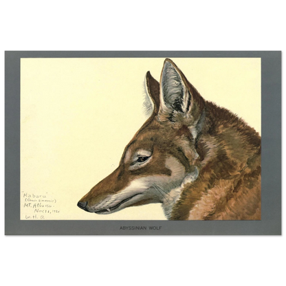 9d1dde52-4843-46c9-9ce6-d1ba814cdf34